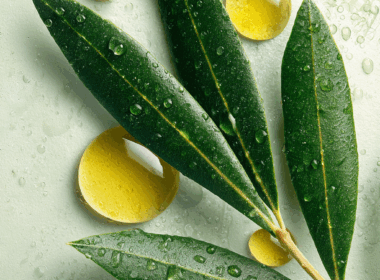 u1917723433_can_you_creat_a_natural_looking_image_of_an_olive_169cb15a-1c91-44ee-b026-420106dc1c5b_1