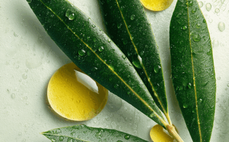 u1917723433_can_you_creat_a_natural_looking_image_of_an_olive_169cb15a-1c91-44ee-b026-420106dc1c5b_1